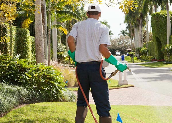 About Cedar KS Pest Control